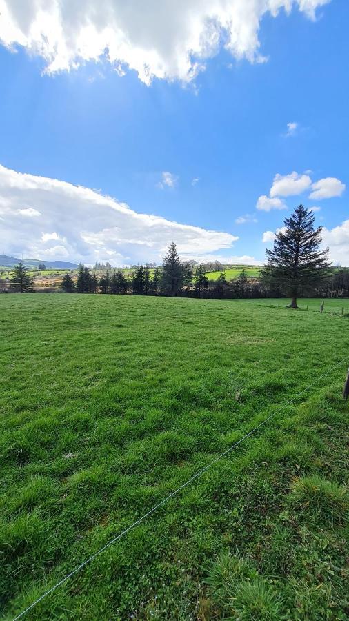 Yellow Heights Country House Tinahely Luaran gambar